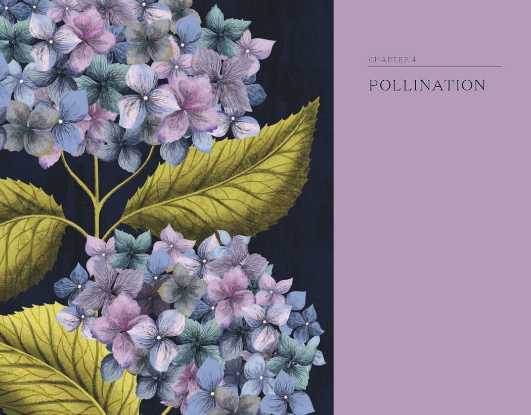 The Hidden Histories of Flowers Book