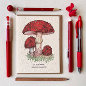 Fly Agaric Mushroom Plantable Wildflower Seed Card by Small Victories