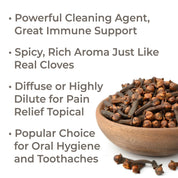 Organic Clove Bud Essential Oil 10 mL by Plant Therapy