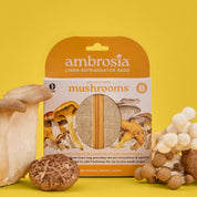 Reusable Mushroom Linen Bag by Ambrosia Bag