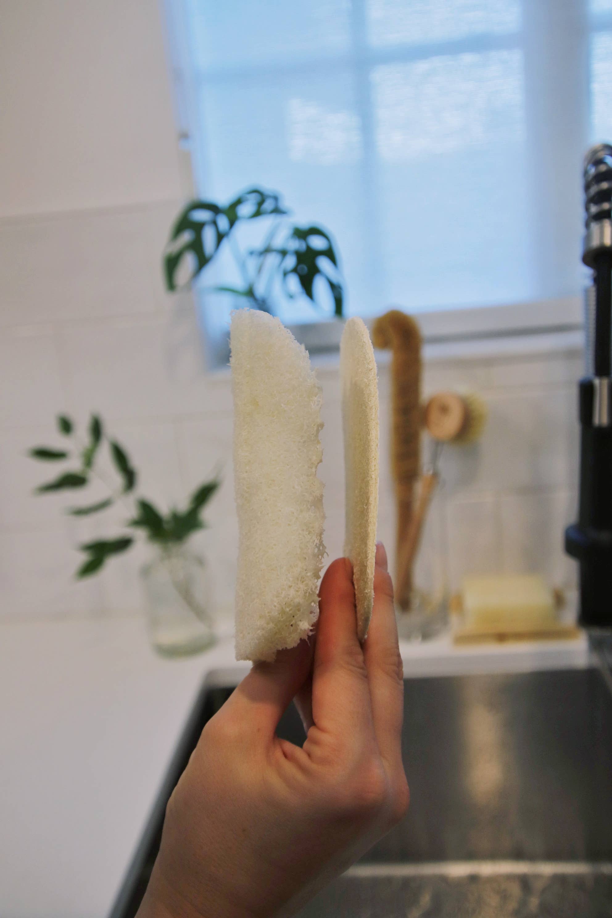 Loofah Dish Sponge: 3-Pack | Compostable by Me Mother Earth