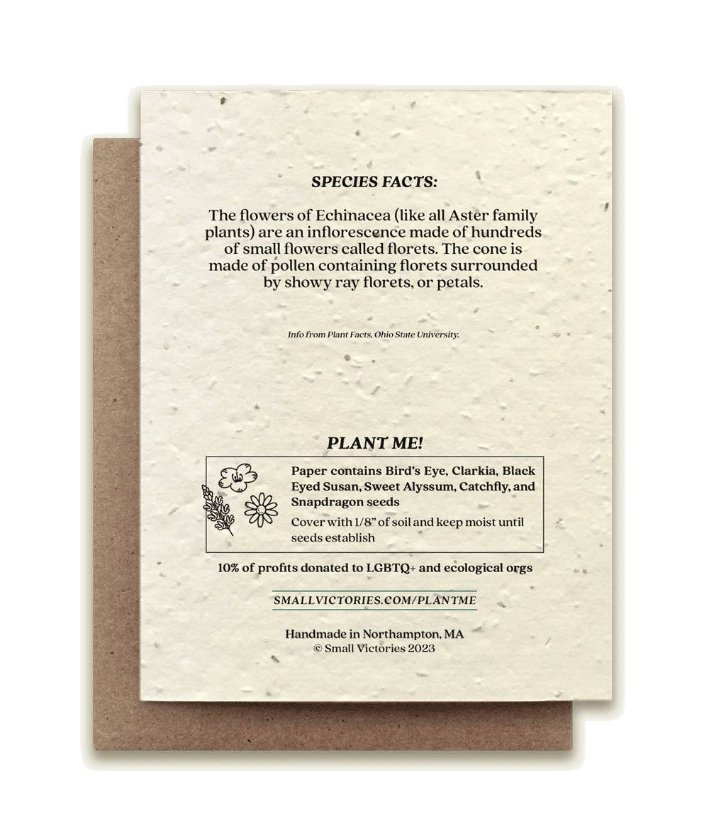 Echinacea Plantable Wildflower Seed Card by Small Victories