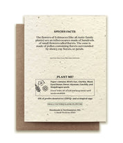 Echinacea Plantable Wildflower Seed Card by Small Victories