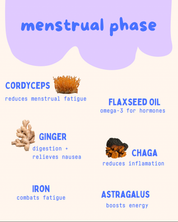 Menstrual Kit Replacement Bags by Baker's Botanics