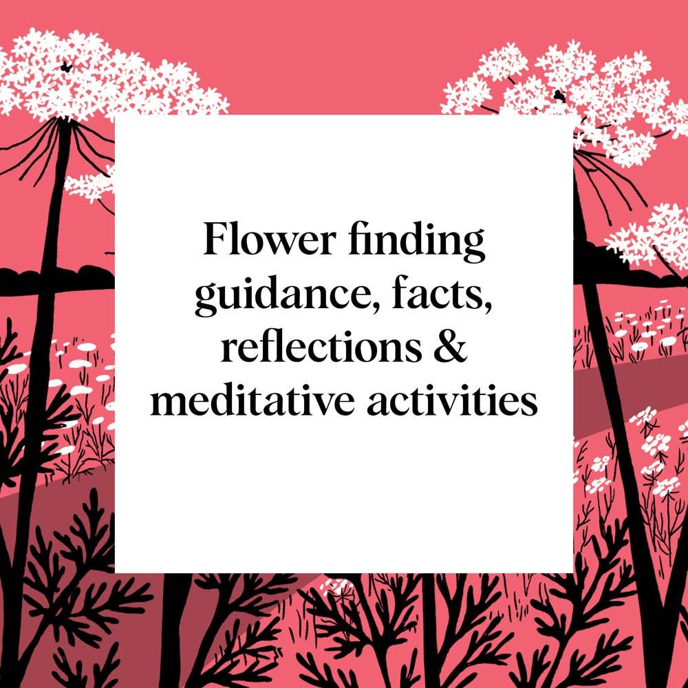 Pocket Nature: Flower Finding Book