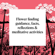 Pocket Nature: Flower Finding Book