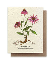 Echinacea Plantable Wildflower Seed Card by Small Victories