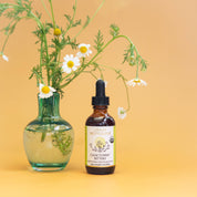 Calm Tummy Digestive Bitters - Relieve Nausea, Upset Stomach  by Urban Moonshine