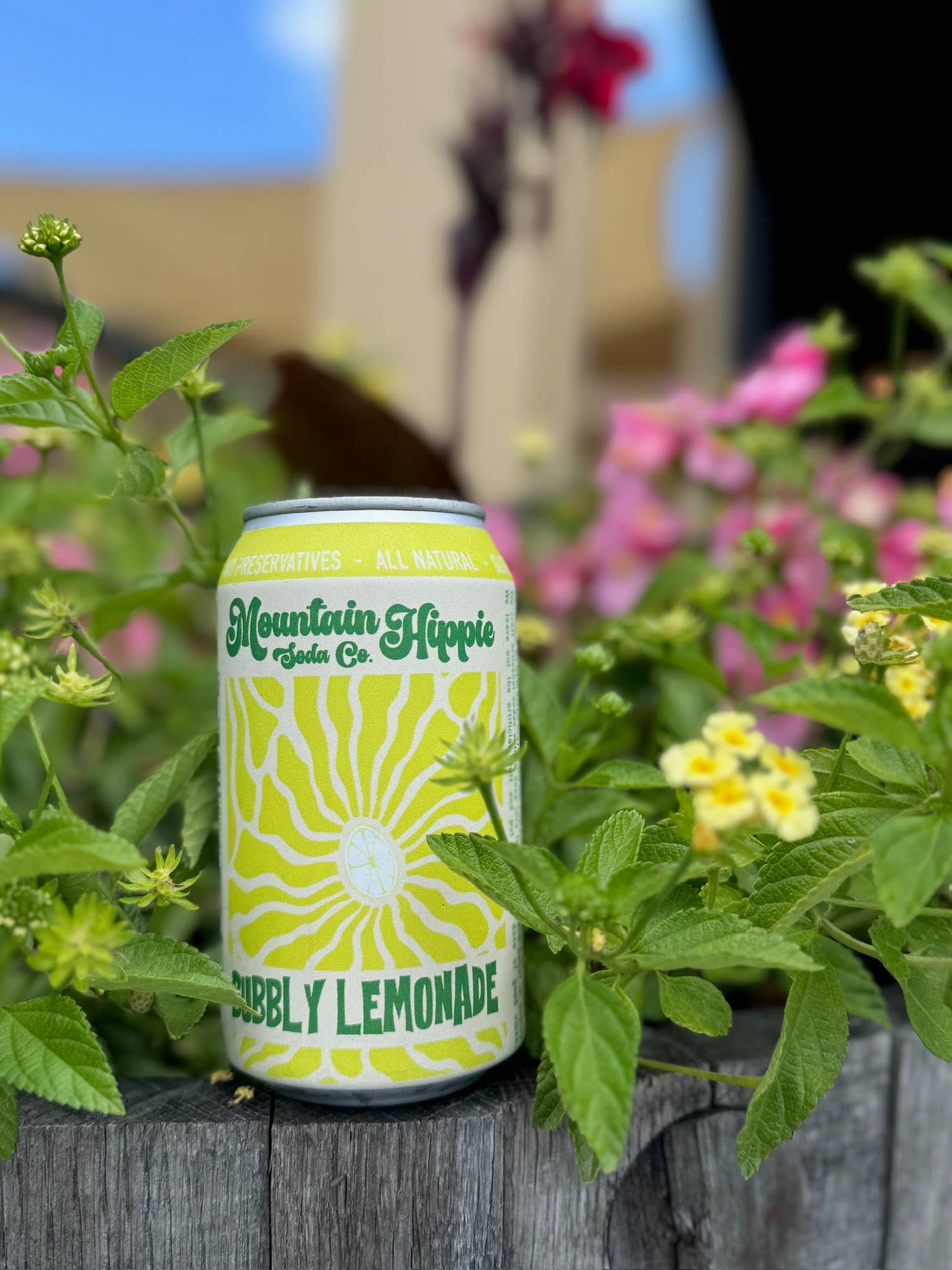 Bubbly Lemonade Natural Soda by Mountain Hippie Soda Co.