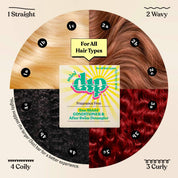 Mini Sun Shield Conditioner Bar & After Swim Detangler Fragrance Free by Dip