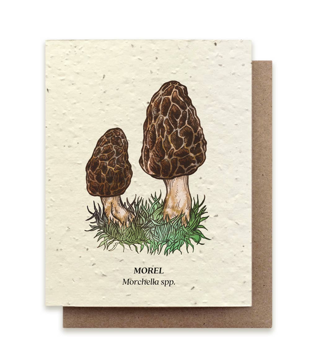 Morel Mushroom Plantable Wildflower Seed Card by Small Victories
