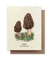 Morel Mushroom Plantable Wildflower Seed Card by Small Victories