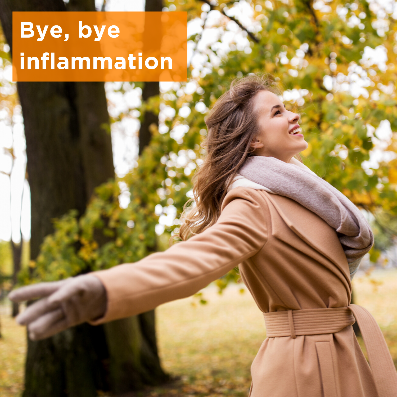 Premium Curcumin Turmeric Supplement by Further Food