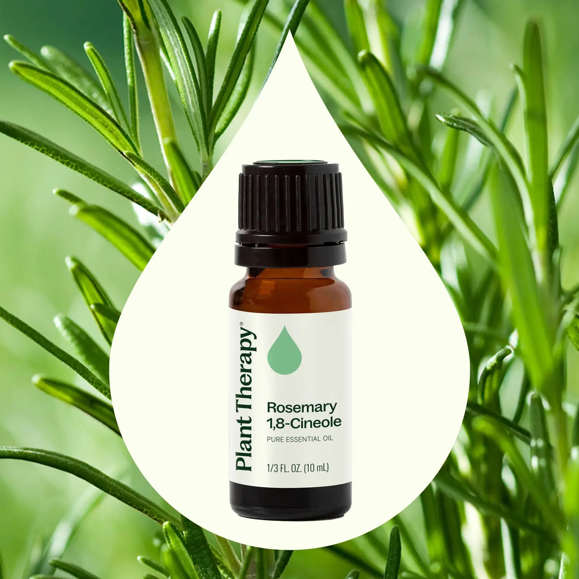 Organic Rosemary 1,8-Cineole Essential Oil 10 mL by Plant Therapy