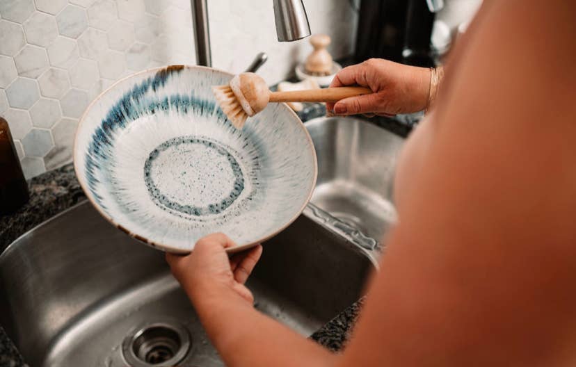 Bamboo Long Handle Dish Brush by Zefiro