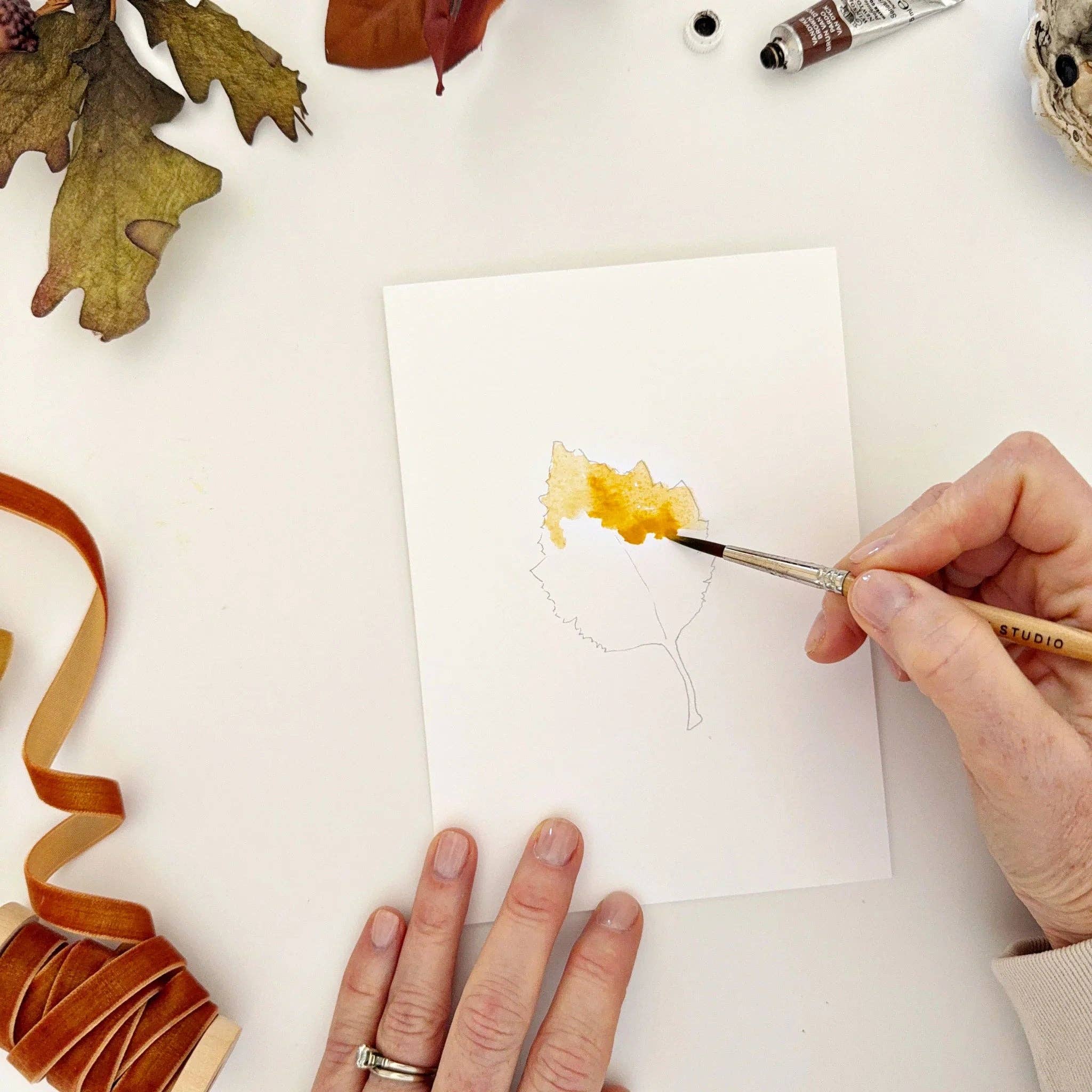 Fall Leaves Paintable Watercolor Notecard Set by emily lex studio