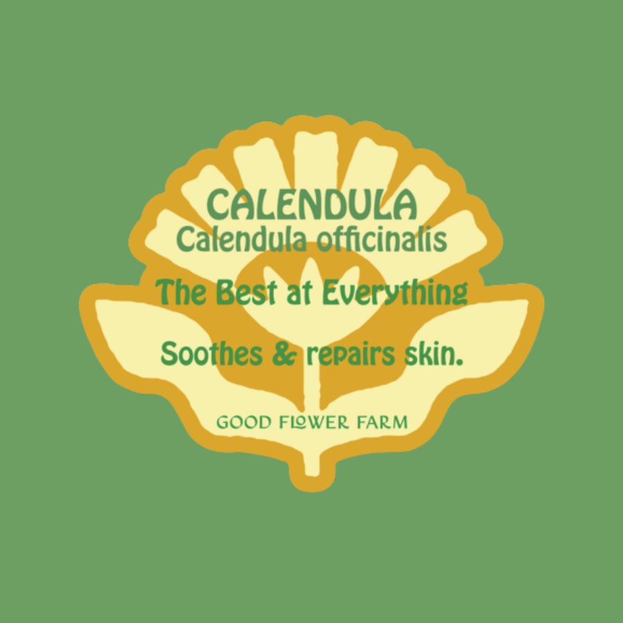 A yellow and orange flower-shaped Calendula Herb Ally Sticker from Good Flower Farm is shown on a green background, featuring the text: CALENDULA Calendula officinalis. The Best at Everything. Soothes & supports skin repair.