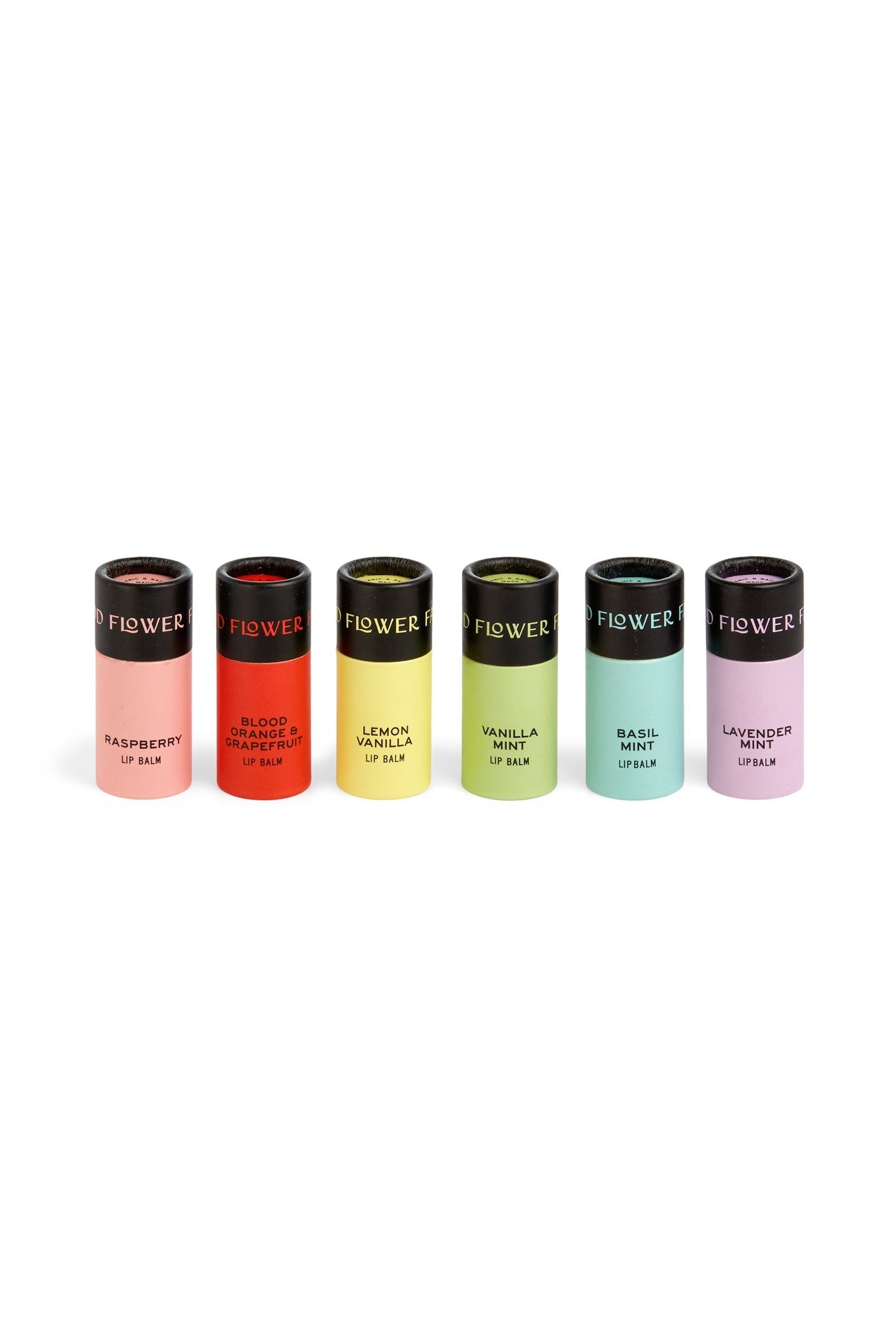 Six pastel-shaded, moisturizing lip balms from Good Flower Farm’s Rainbow Organic Lip Balm Set of 6 are arranged in a row. The biodegradable tubes feature raspberry, blood orange grapefruit, lemon vanilla, vanilla mint, basil mint, and lavender flavors.