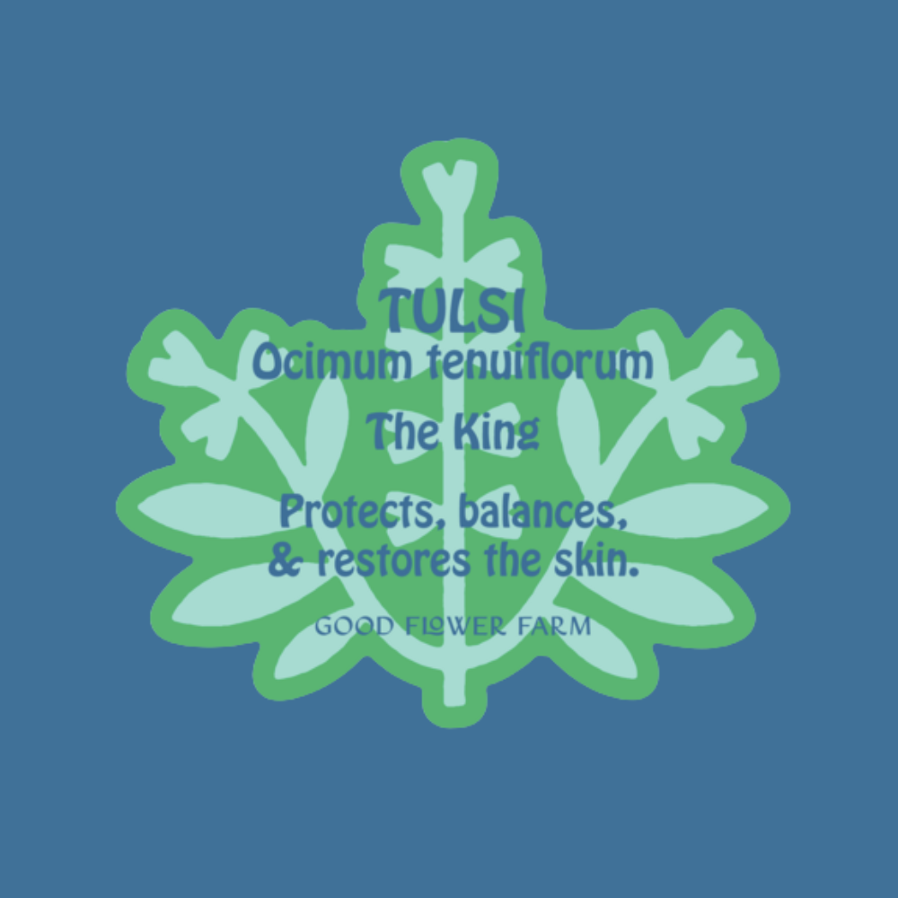 A green Holy Basil (Tulsi) leaf illustration on a blue background with text: “Tulsi Herb Ally Sticker - Ocimum tenuiflorum. Protects, balances & restores skin. Good Flower Farm.”.