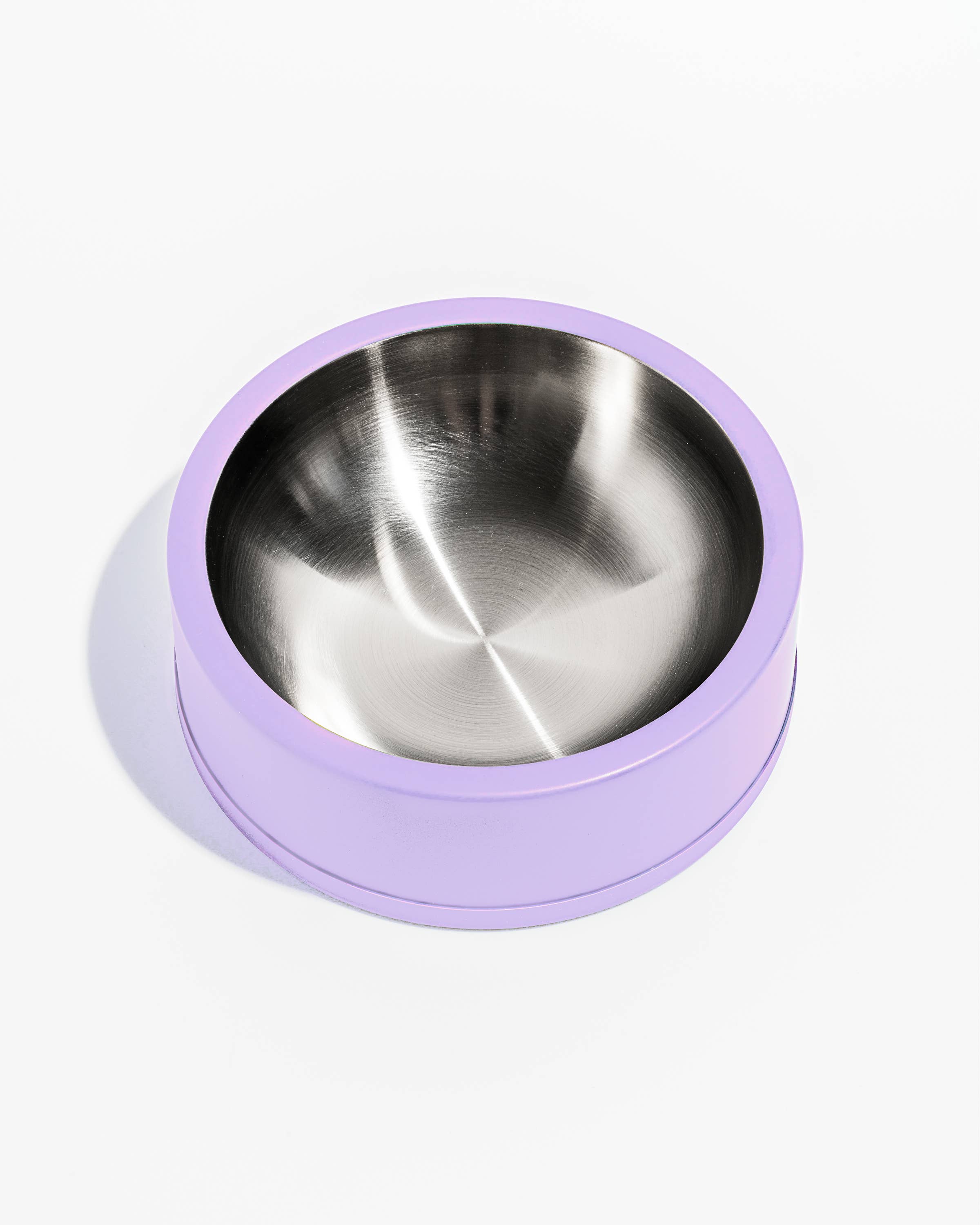 Dog Bowl by Wild One