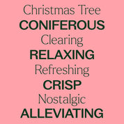Christmas Tree Essential Oil Blend 10 mL by Plant Therapy
