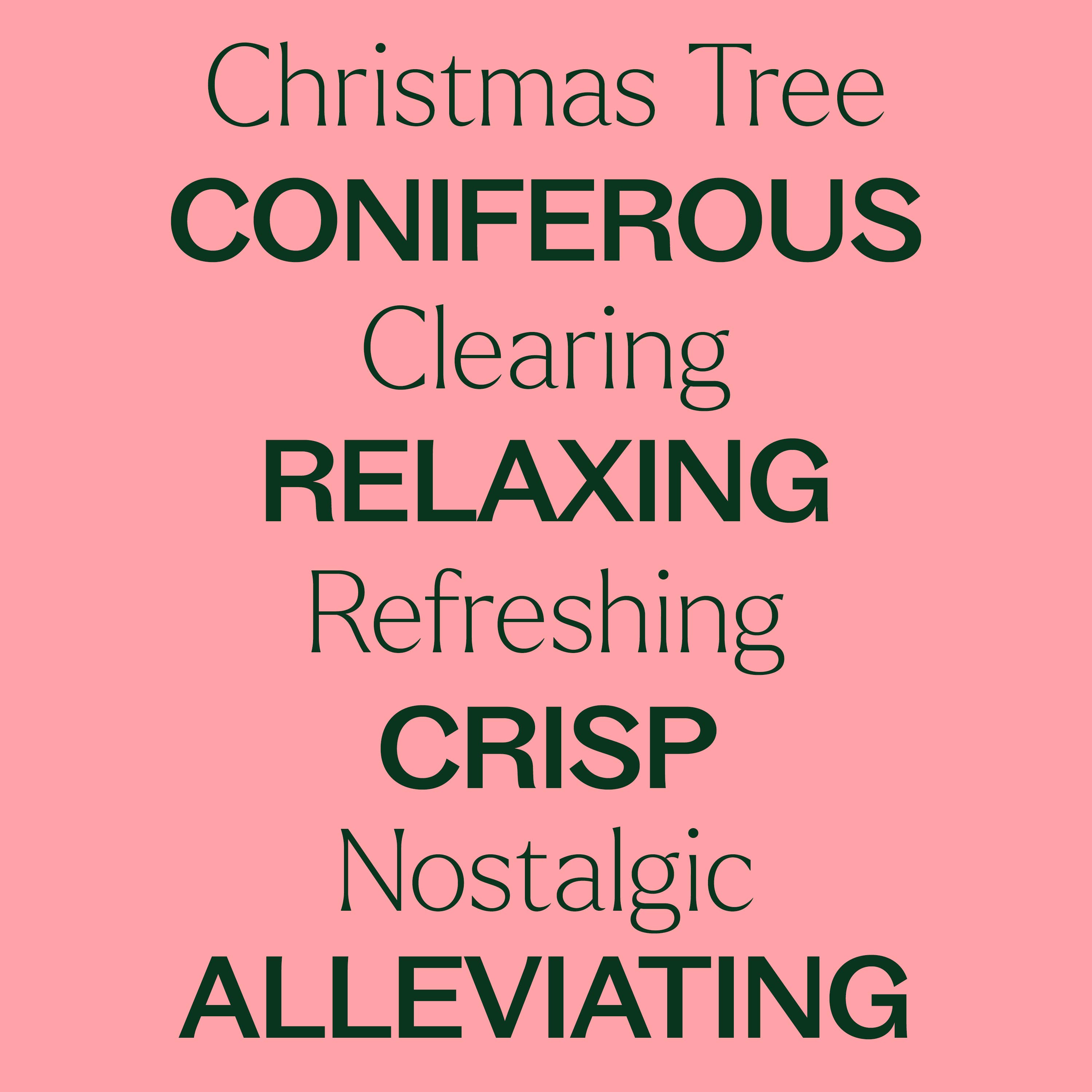 Christmas Tree Essential Oil Blend 10 mL by Plant Therapy