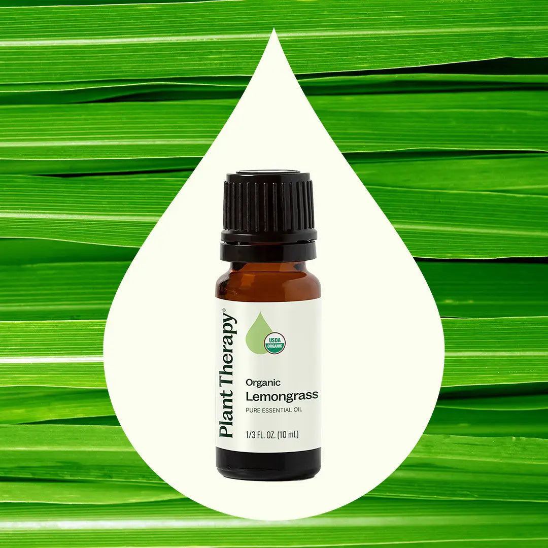Organic Lemongrass Essential Oil 10 mL by Plant Therapy