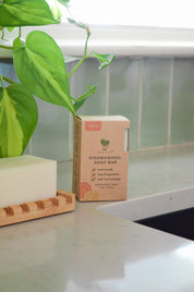 Zero Waste Dish Soap Bar by Me Mother Earth