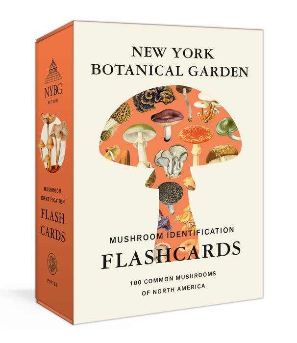 Mushroom Identification Flashcards