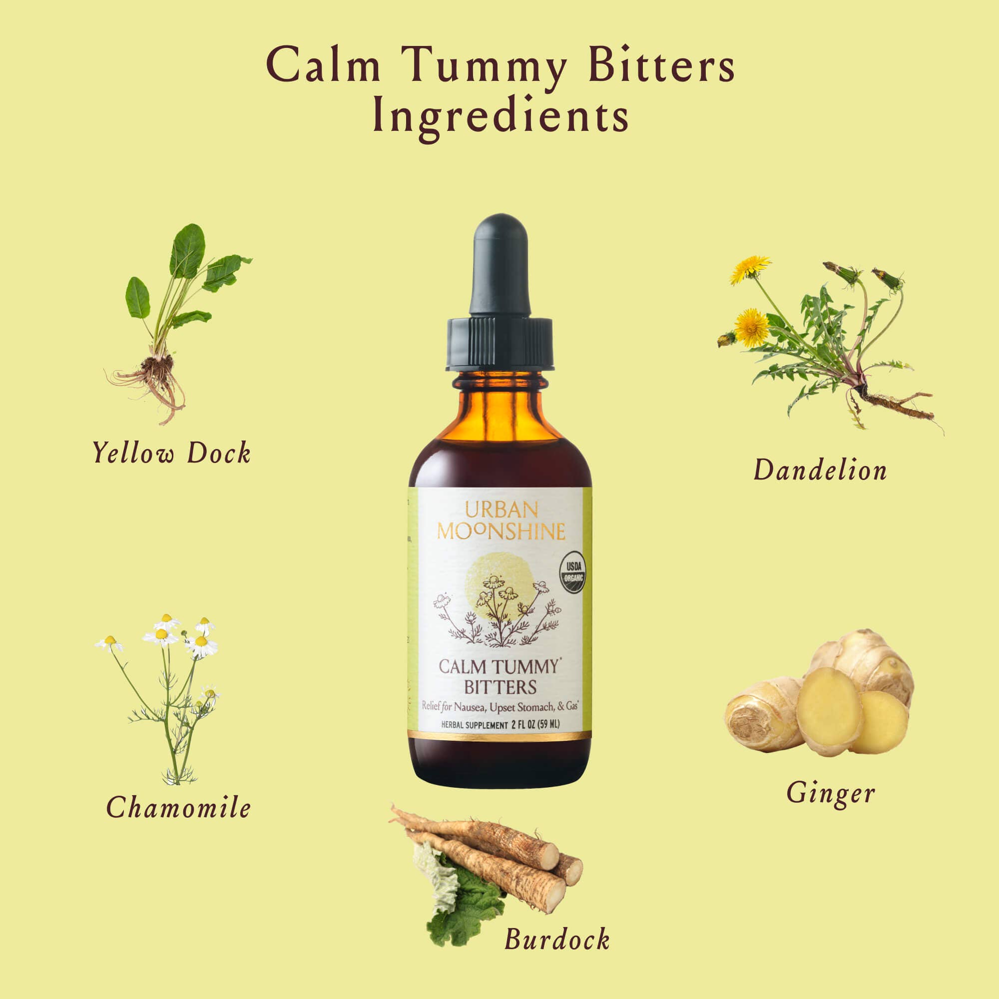 Calm Tummy Digestive Bitters - Relieve Nausea, Upset Stomach  by Urban Moonshine