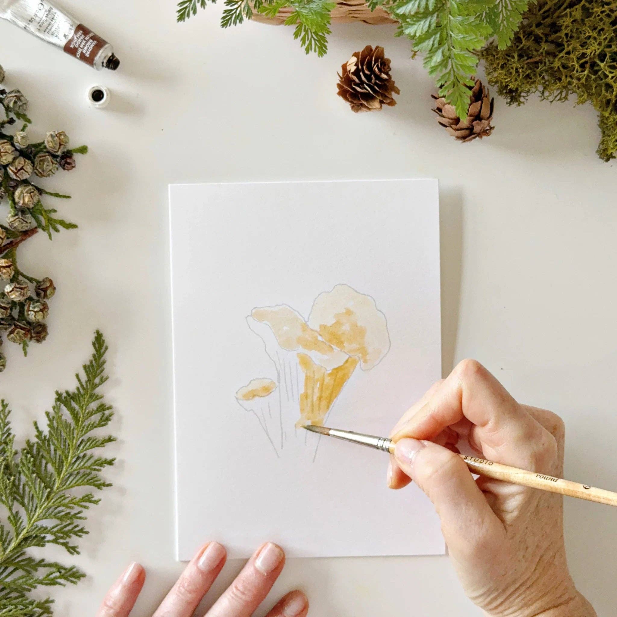Mushrooms Paintable Watercolor Notecard Set by emily lex studio