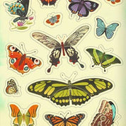 What's Inside a Garden Sticker Book