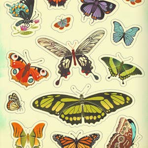 What's Inside a Garden Sticker Book