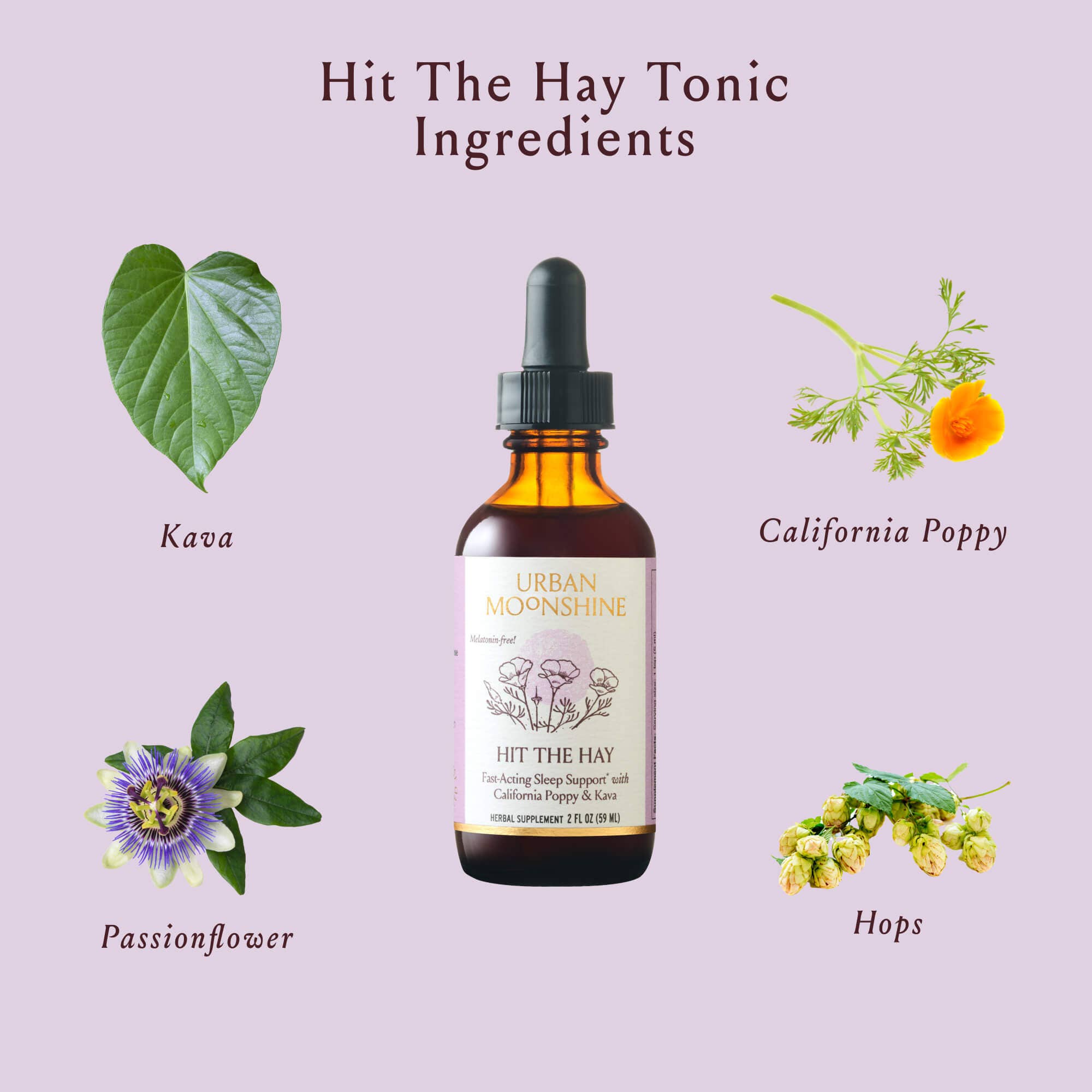 Hit the Hay Herbal Tincture - Promotes Rest & Relaxation by Urban Moonshine