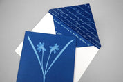 Sunprint Notecards