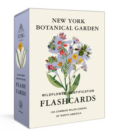 Wildflower ID Flashcards