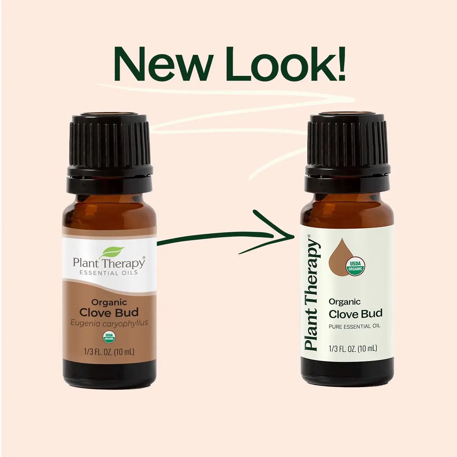 Organic Clove Bud Essential Oil 10 mL by Plant Therapy