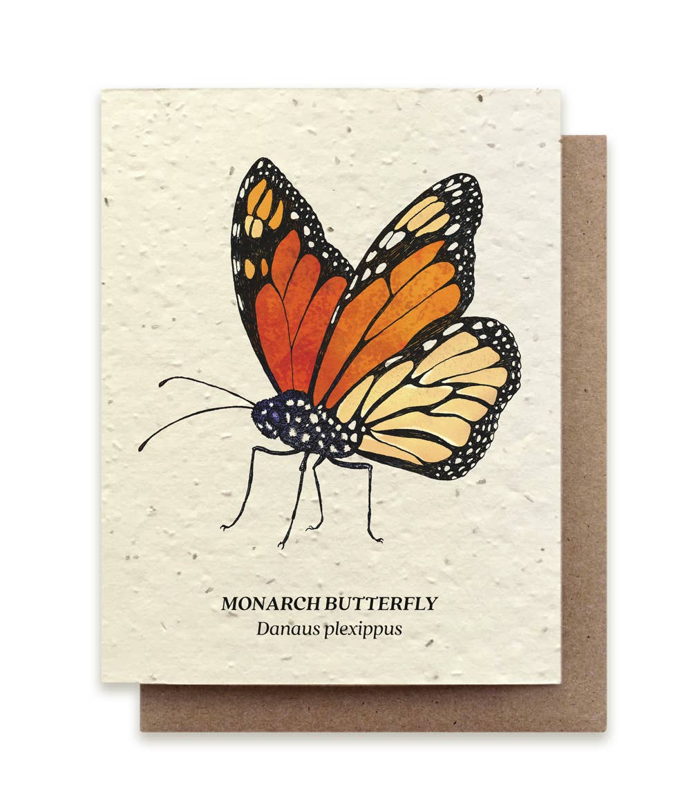 Monarch Butterfly Plantable Wildflower Seed Card by Small Victories
