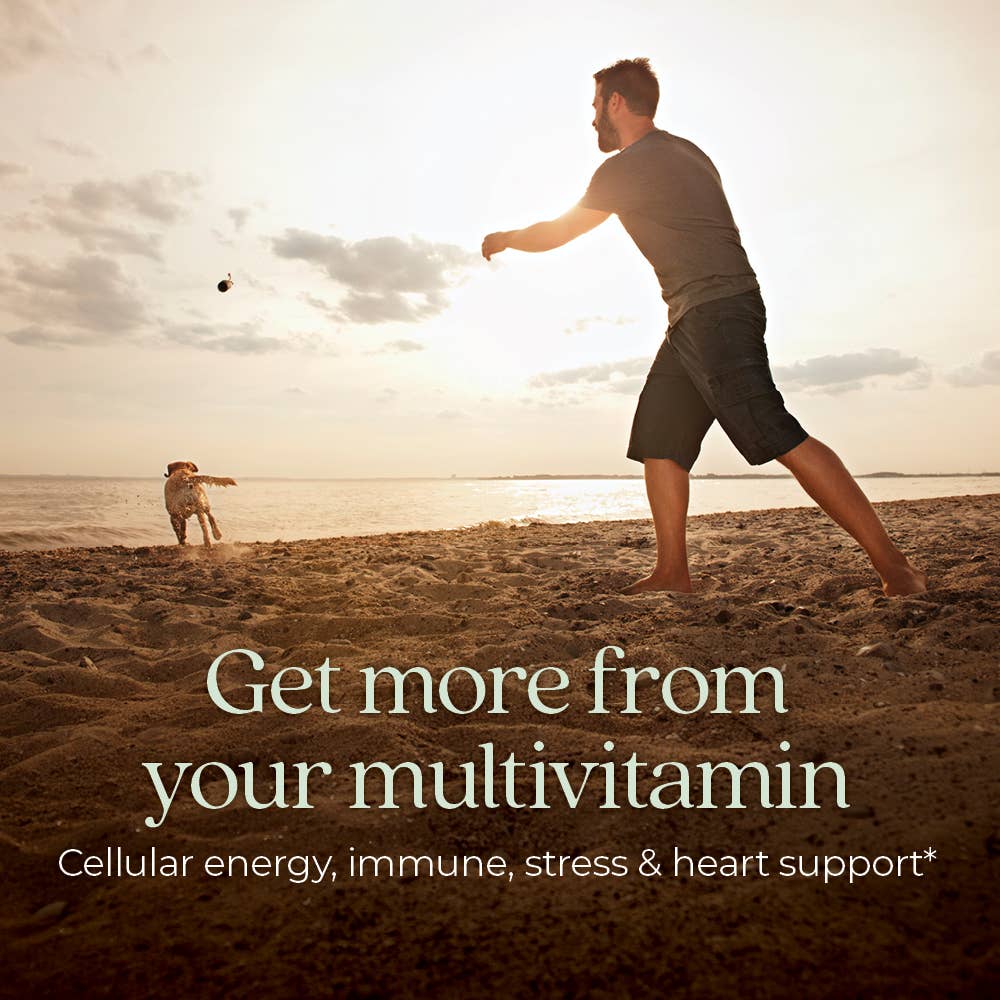 NEvery Man’s One Daily Multivitamin, 30 Tablets by New Chapter