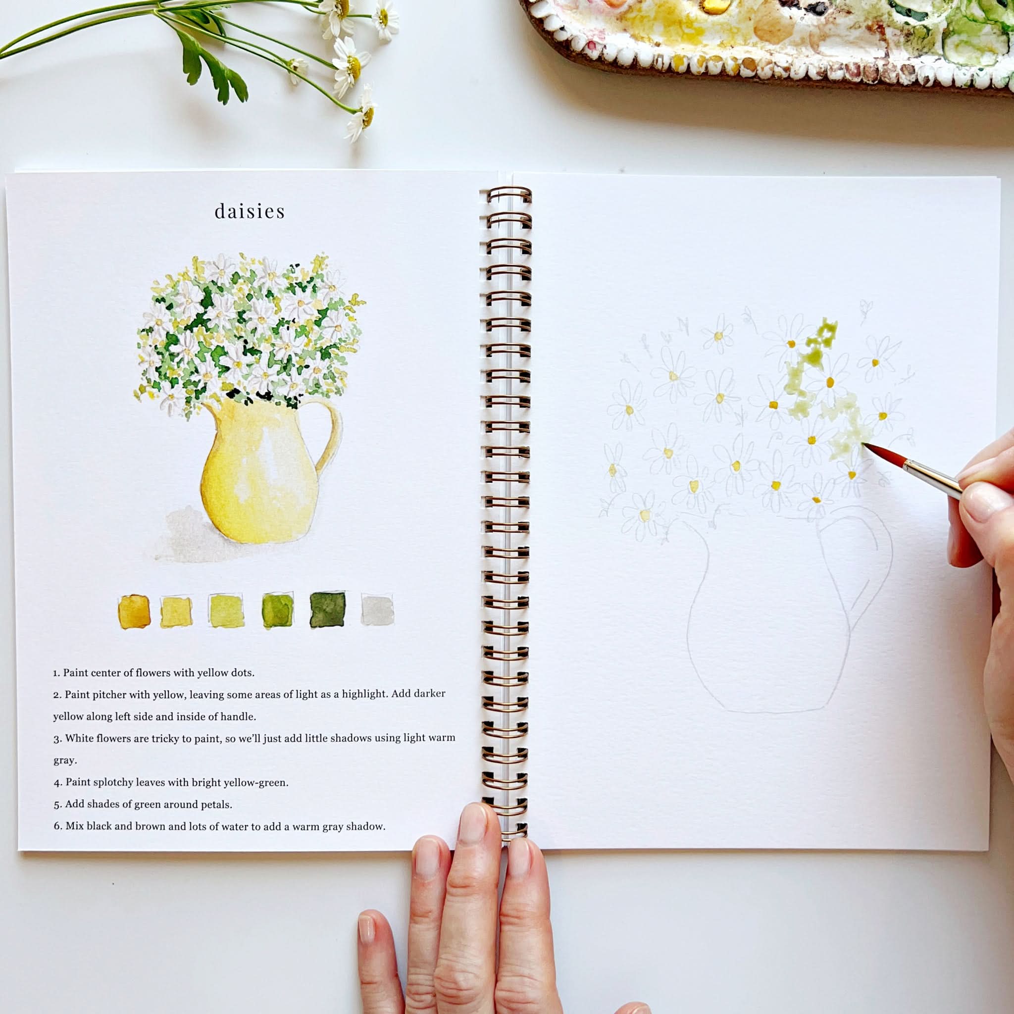 Flowers Watercolor Workbook by emily lex studio