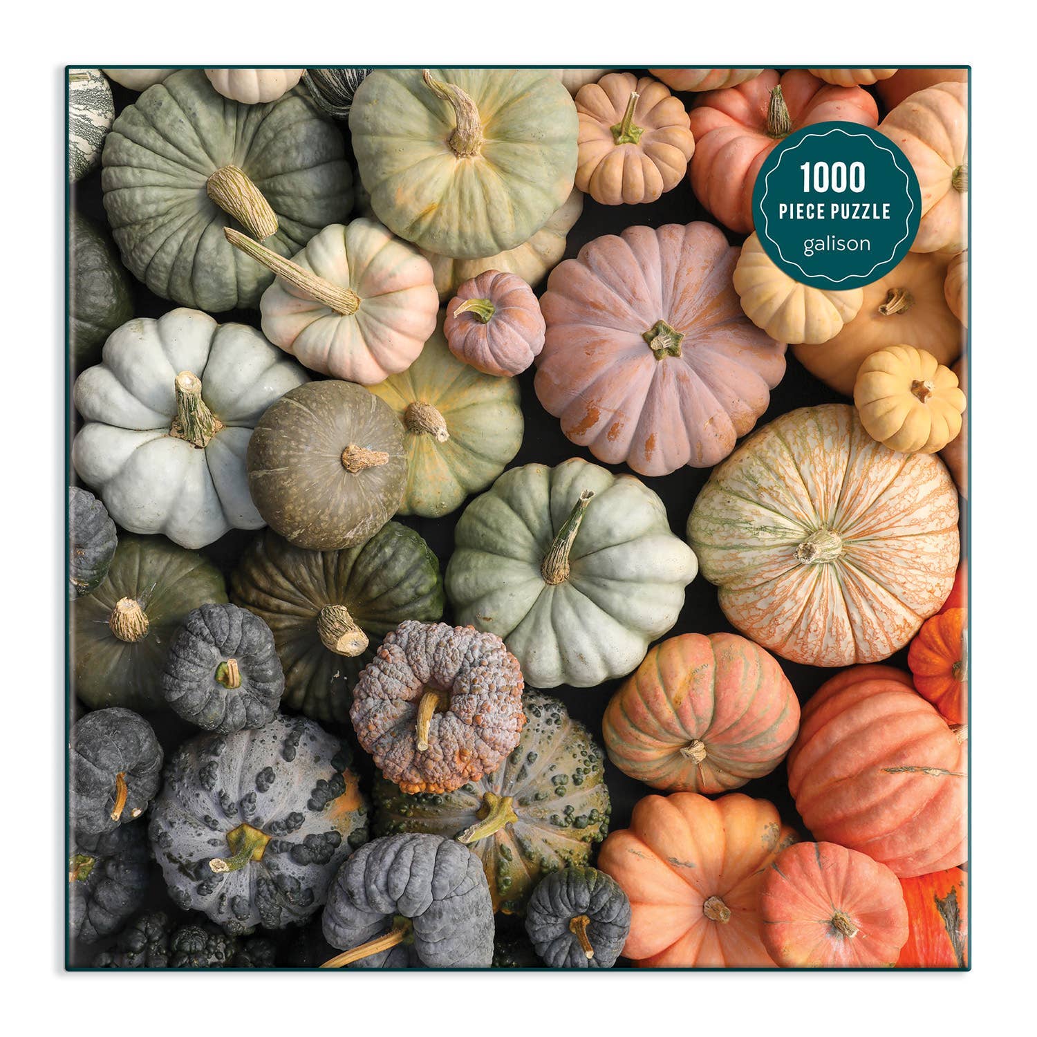 Heirloom Pumpkins 1000-Piece Puzzle