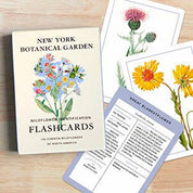 Wildflower ID Flashcards