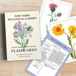 Wildflower ID Flashcards