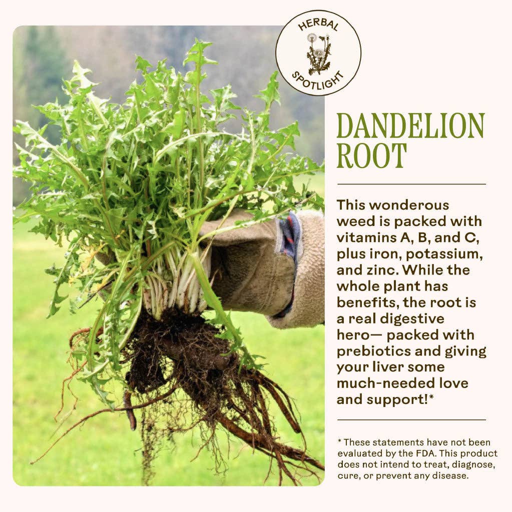 Dandelion Digestive Bitters by Wooden Spoon Herbs