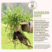 Dandelion Digestive Bitters by Wooden Spoon Herbs