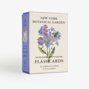 Wildflower ID Flashcards