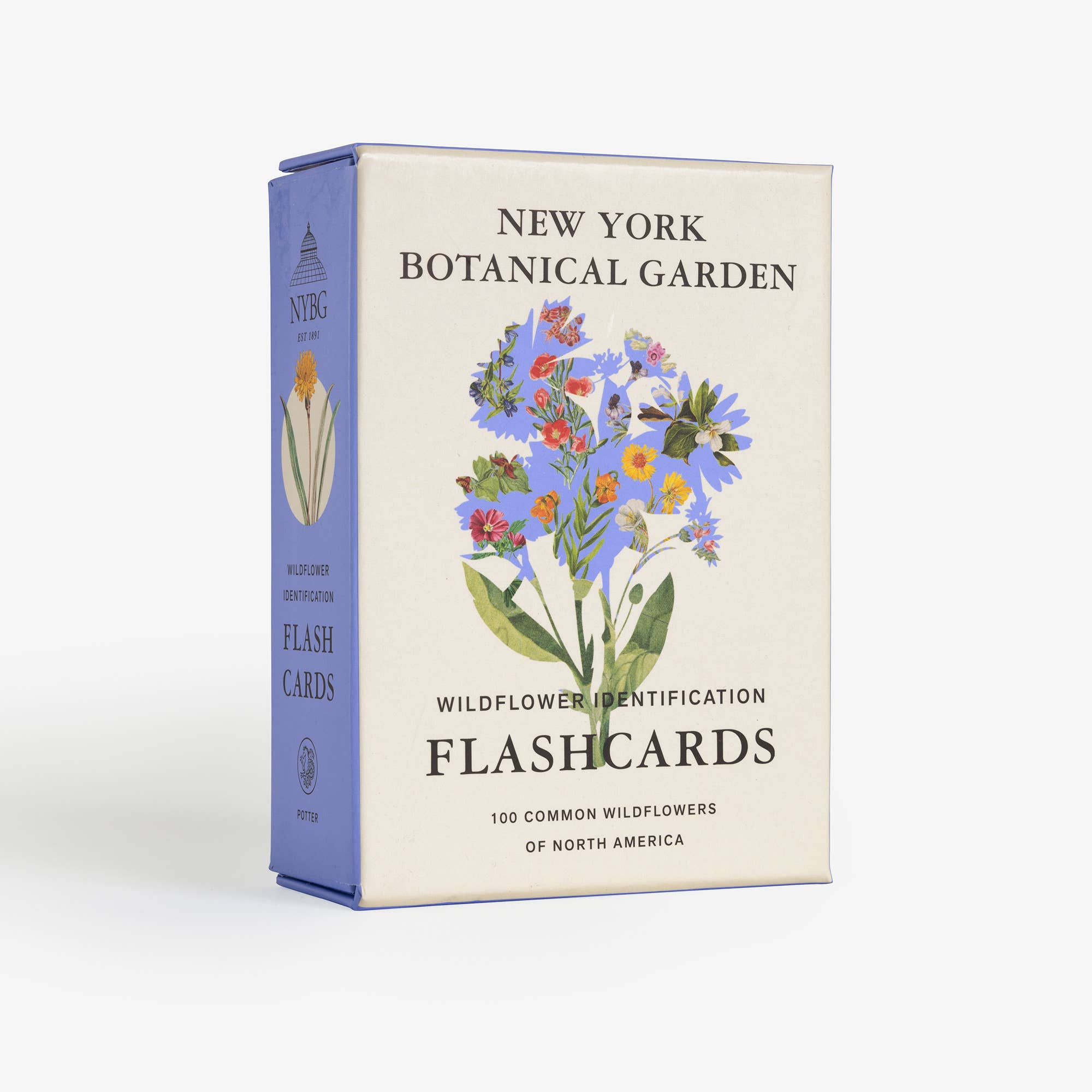 Wildflower ID Flashcards
