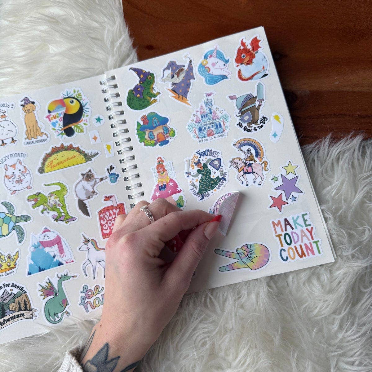 The Unused Sticker Book by Big Moods