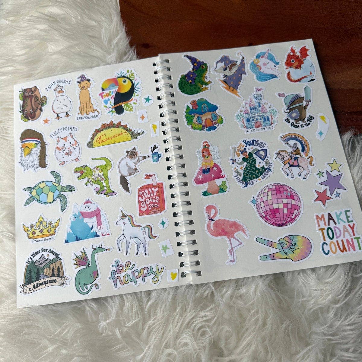 The Unused Sticker Book by Big Moods