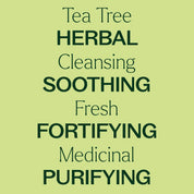 Organic Tea Tree Essential Oil 10 mL by Plant Therapy